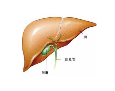胆囊癌的中医治疗方法有哪些？中医师告诉你